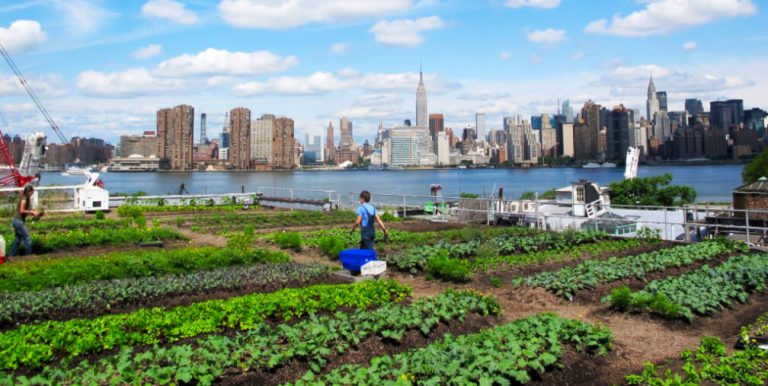A integração de agricultura urbana em projetos de construção civil