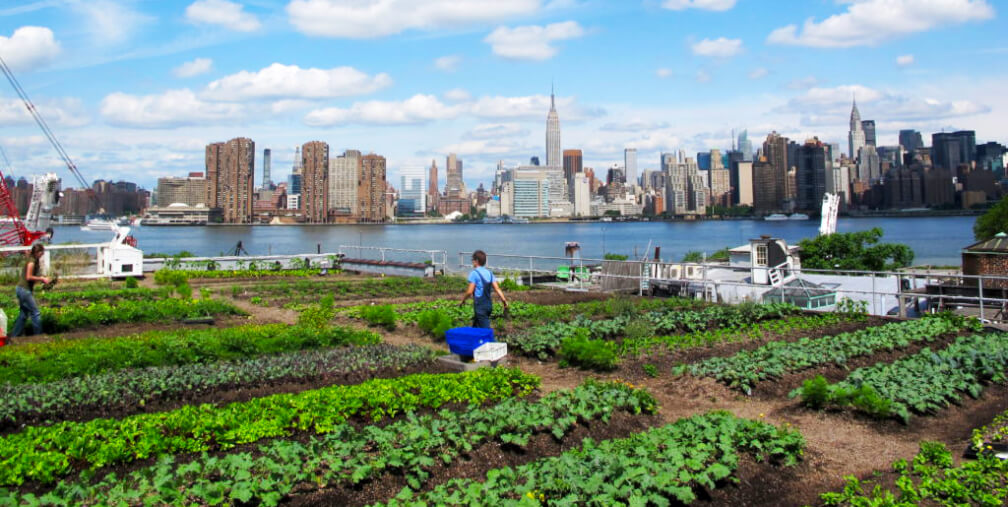 A integração de agricultura urbana em projetos de construção civil