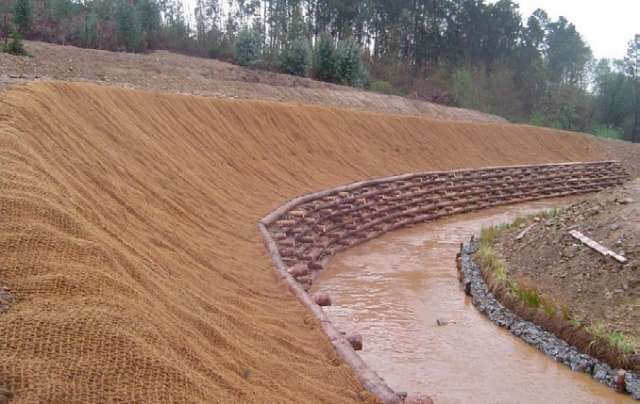 Biomanta exemplo