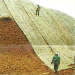 Biomanta obra