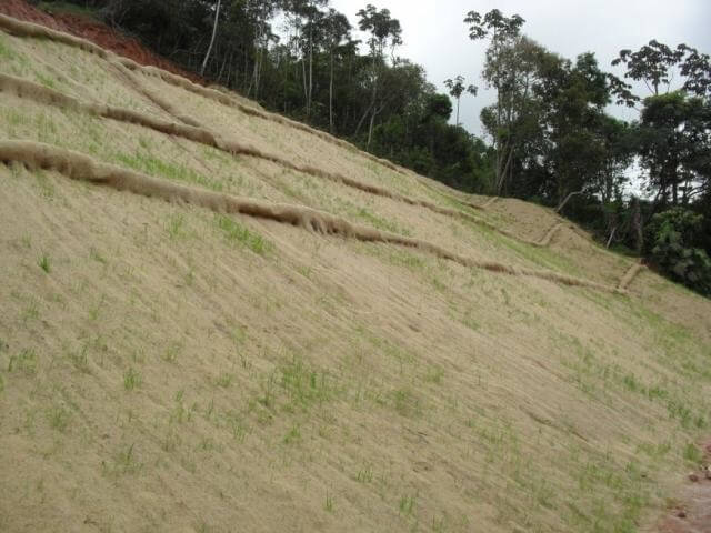 Biomanta Fibra de Coco
