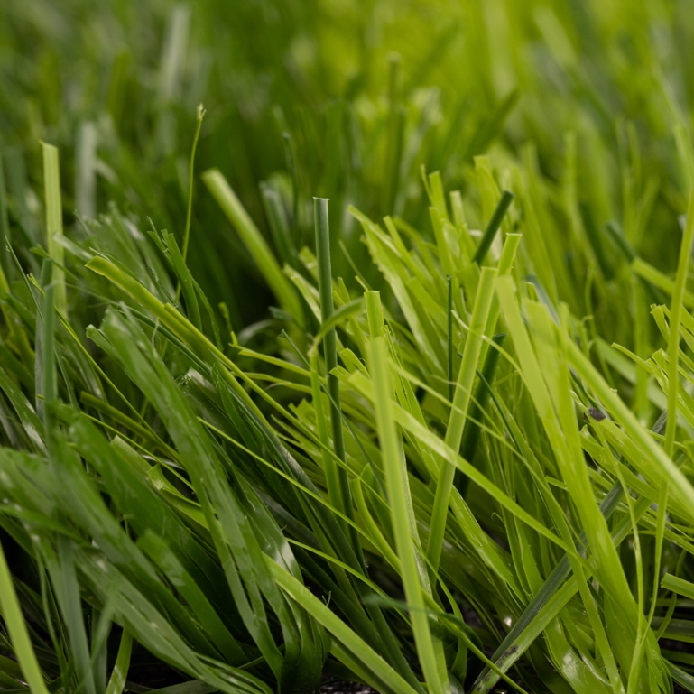 NTCGrass FUTLEVEL F7S 52