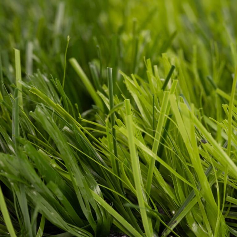 NTCGrass FUTLEVEL F9S 52