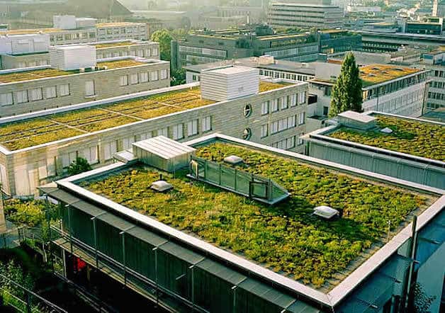 Telhado Verde na França